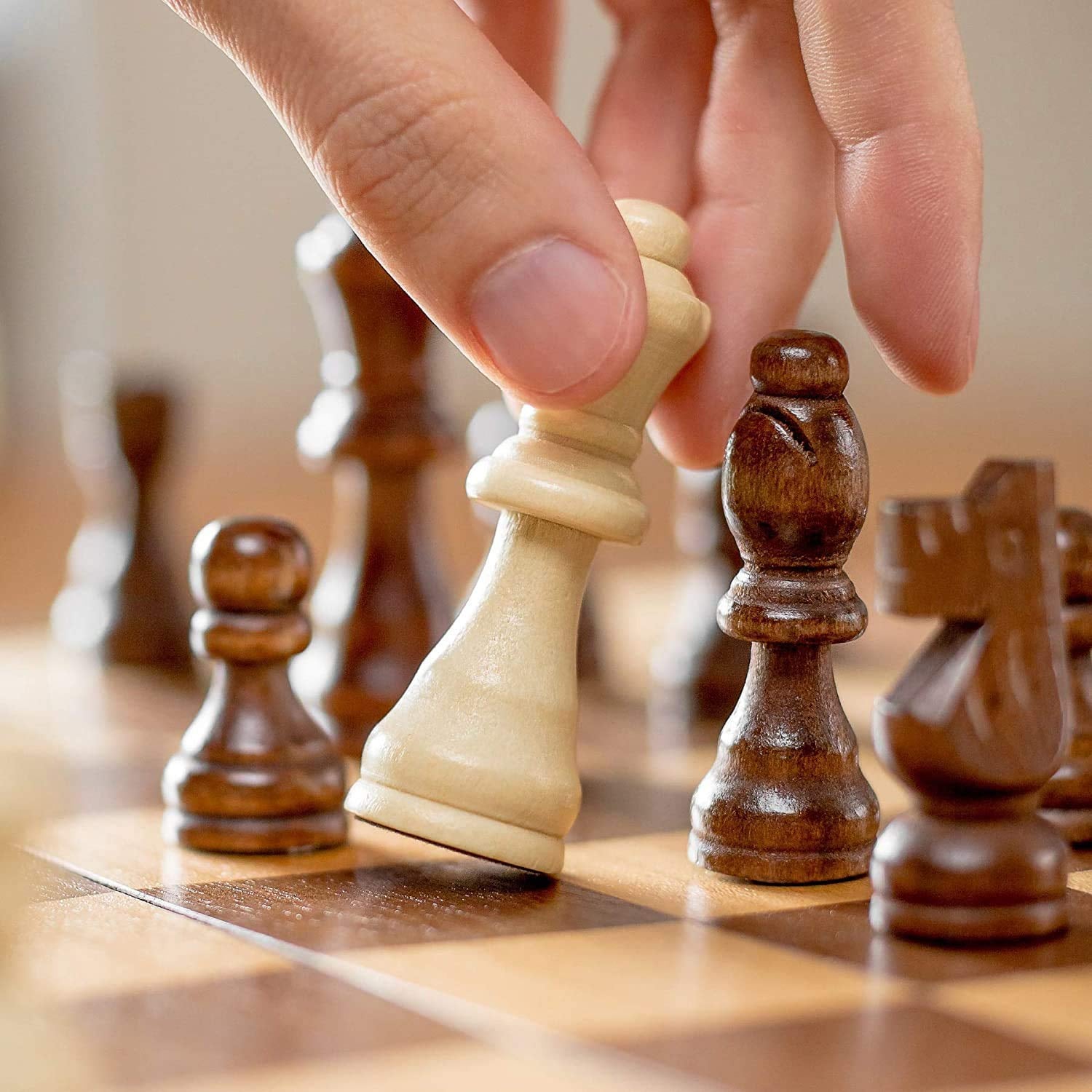 Chess Board Chess Board